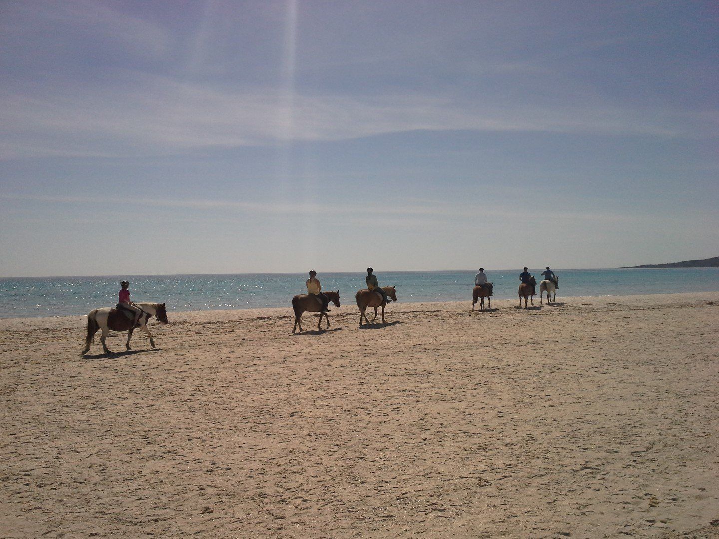 Passeggiate A Cavallo Sulla Spiaggia San Teodoro Porto Rotondo